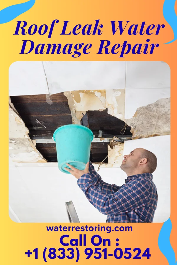 Roof Leak Water Damage Repair in Pasadena Park, MO