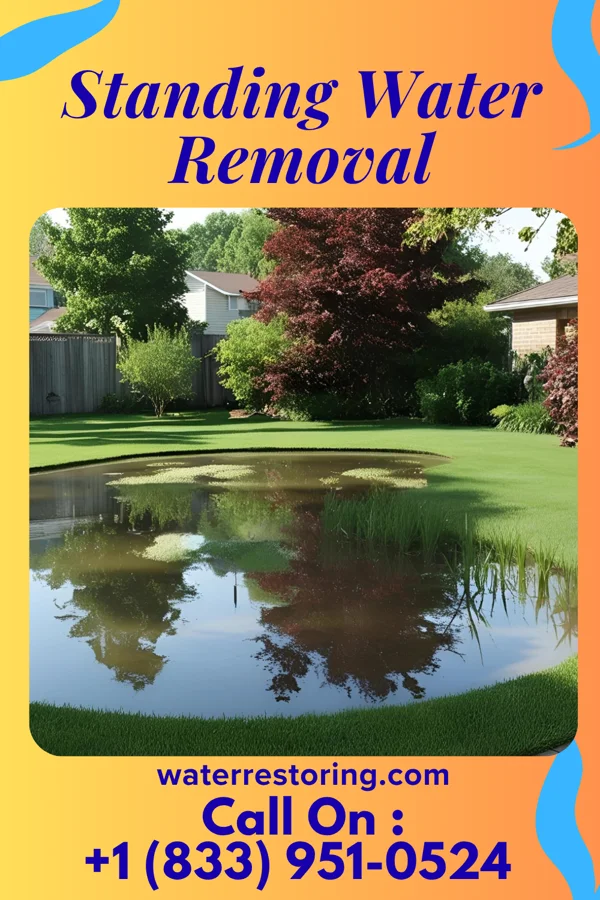 Standing Water Removal in Pasadena Park, MO